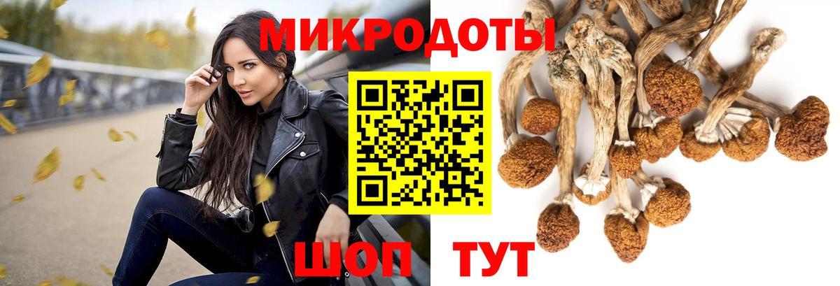 Псилоцибиновые грибы MAGIC MUSHROOMS  Вход с VPN  Егорьевск 